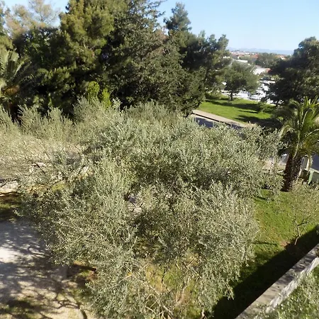 Cabezas Zadar