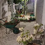 Apartment Cabezas Zadar