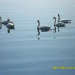 Cabezas * Zadar