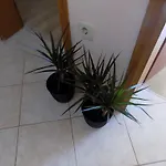 Apartment Cabezas *