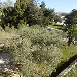 Cabezas Zadar
