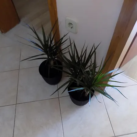 Appartement Cabezas *