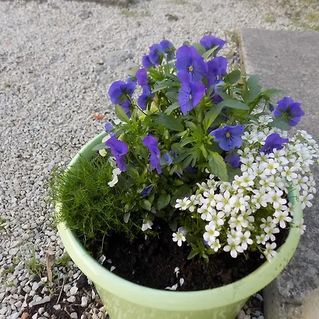 Lejlighed Cabezas Zadar