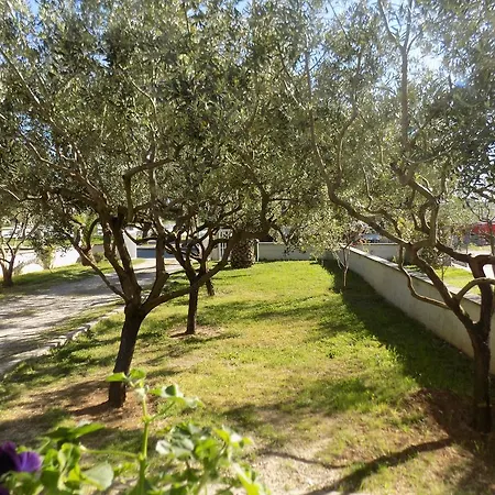 Apartment Cabezas Zadar