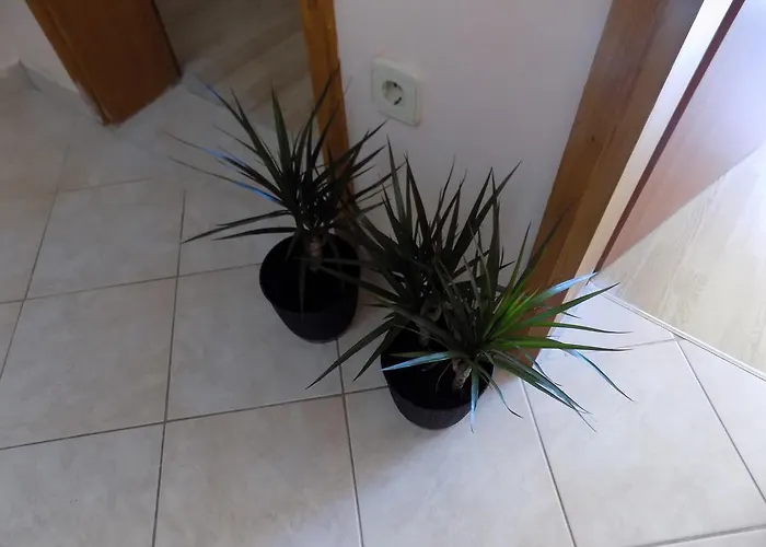 Apartament Cabezas *