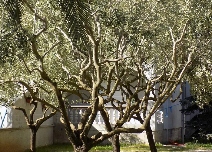 Apartament Cabezas Zadar