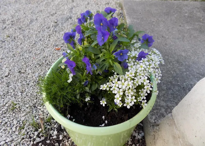 Cabezas Apartament *