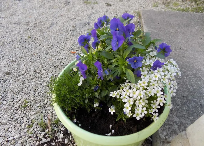 公寓 Cabezas 扎达尔