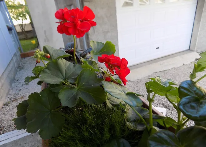 Cabezas Apartament Zadar